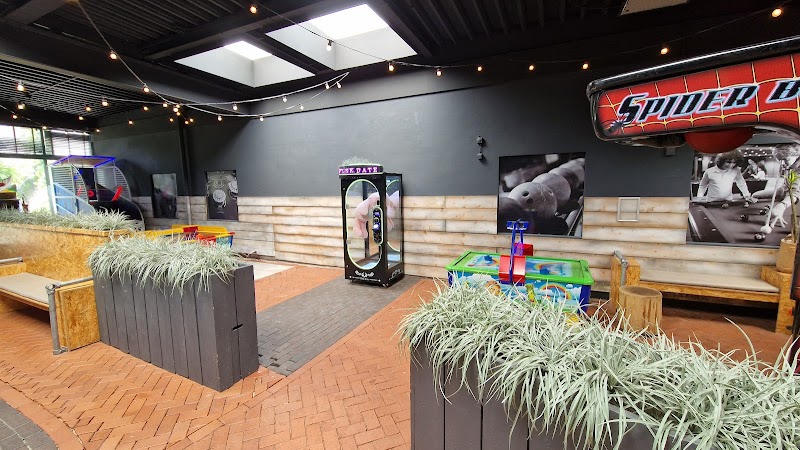 Mini-Bowling Bahn bowlingcentrum Brouwershaven - foto 2